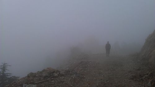 Scenic view of forest during foggy weather