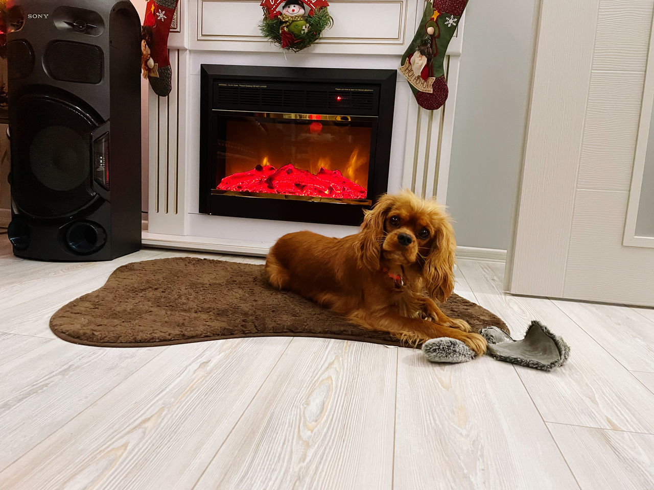 fireplace, animal themes, animal, mammal, one animal, pet, domestic animals, wood-burning stove, canine, dog, indoors, no people, flooring, home interior, wood, floor, domestic room, carnivore, nature, domestic life