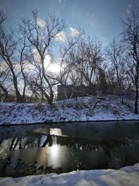 Bare trees by frozen lake against sky
