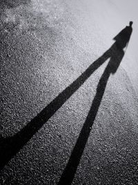 Close-up of shadow on ground
