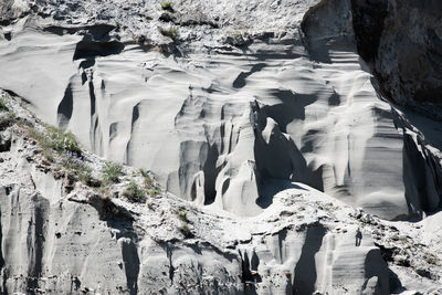 View of birds on rock formation