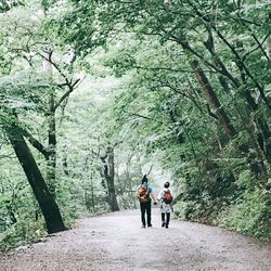 Rear view of men walking in forest