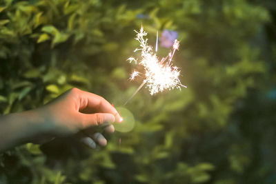 Person hand holding lit up at night