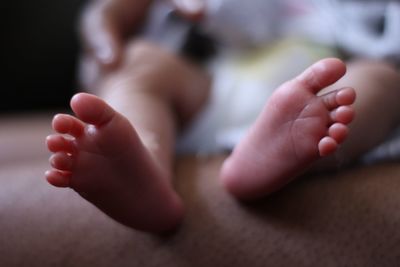 Low section of baby feet