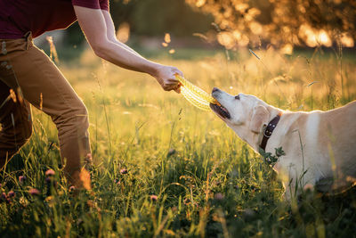 Side view of man with dog on field