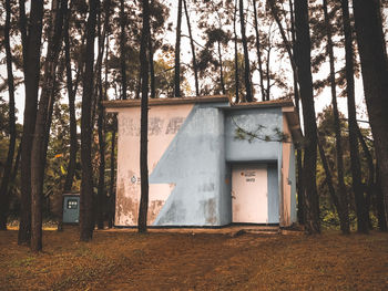 Built structure by trees in forest