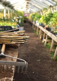 Close-up of food on wooden table in field