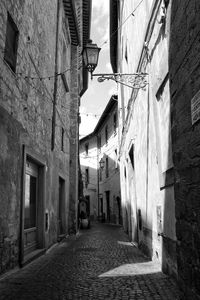 Alley amidst buildings