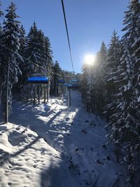 Snow covered land and trees against sky