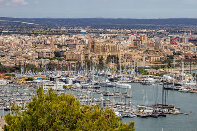 Panoramic view at the harbor of palma on balearic island mallorca, spain