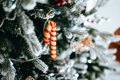 Close-up of christmas decorations