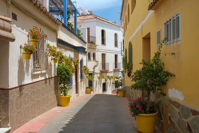 The narrow streets of estepona, spain, each street has flower pots of a different colour.