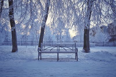 Bare trees on snow covered landscape