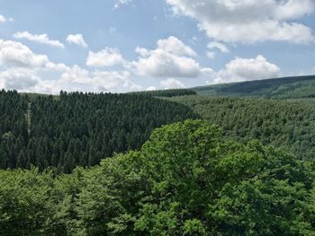 Scenic view of farm against sky