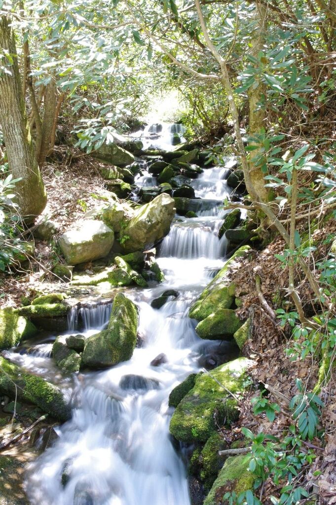 water, flowing water, waterfall, forest, motion, flowing, stream, long exposure, tree, nature, rock - object, beauty in nature, scenics, tranquility, plant, river, growth, day, tranquil scene, outdoors