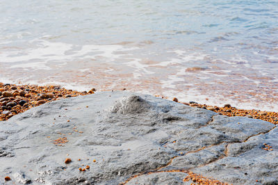 High angle view of rocks on beach