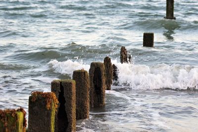 Wooden posts on sea