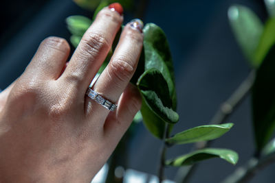 Close-up of woman hand with leaves