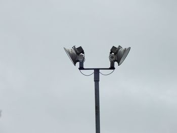 Low angle view of bird perching on pole against clear sky