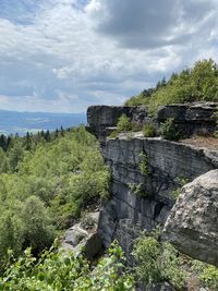 Plants growing on rock by trees against sky