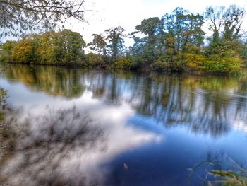 Scenic view of lake in forest against sky