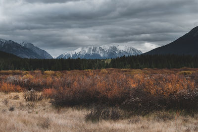 Scenic view of field and mountains against sky