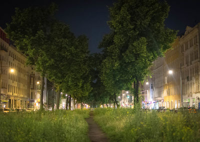 View of illuminated street light at night