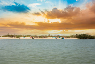 Kayaks lined up on the beach off of new pass in bonita springs, florida