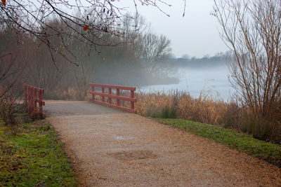 Footpath by grass and bare trees in foggy weather