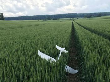 Scenic view of fallen model airplane in field