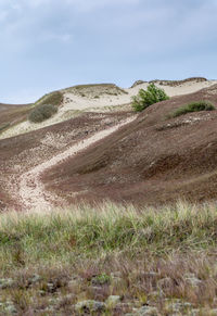 Scenic view of land against sky