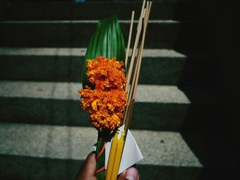 Cropped hand of person holding flowers and candles 