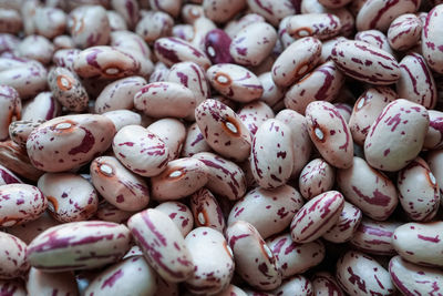 Uncooked red beans, mediterranean food