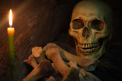 Close-up of human skull