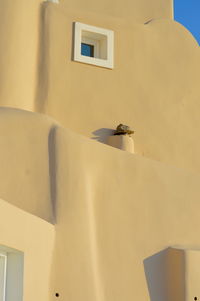 Low angle view of bird perching on building wall