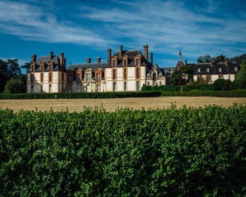 Plants growing on field by buildings against sky