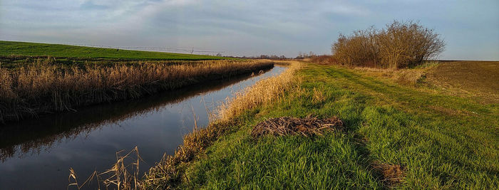 Plants growing on field by canal against sky