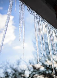 Low angle view of icicles against sky