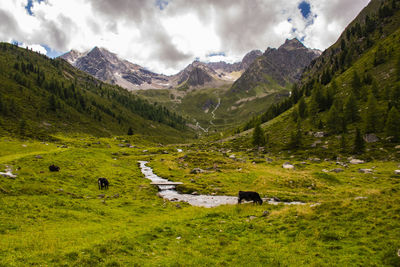 Scenic view of mountain range against sky