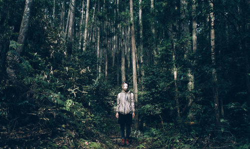 Man wearing cat mask while standing in forest