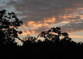 Silhouette of trees against cloudy sky