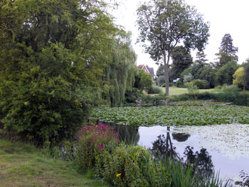 Scenic view of lake in forest against sky