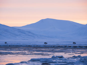 Scenic view of beach against sky during winter