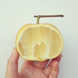 Close-up of hand holding apple