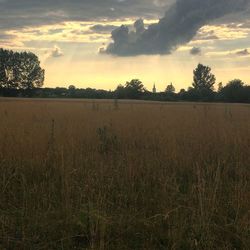 Scenic view of field against sky during sunset