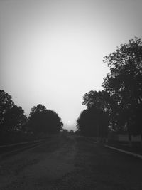Road passing through trees