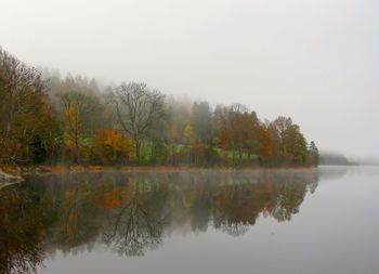 Reflection of autumn trees in calm lake