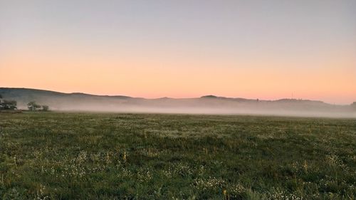 Scenic view of field against sky during sunset