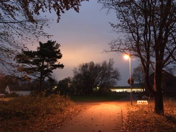 Illuminated road by trees against sky at night