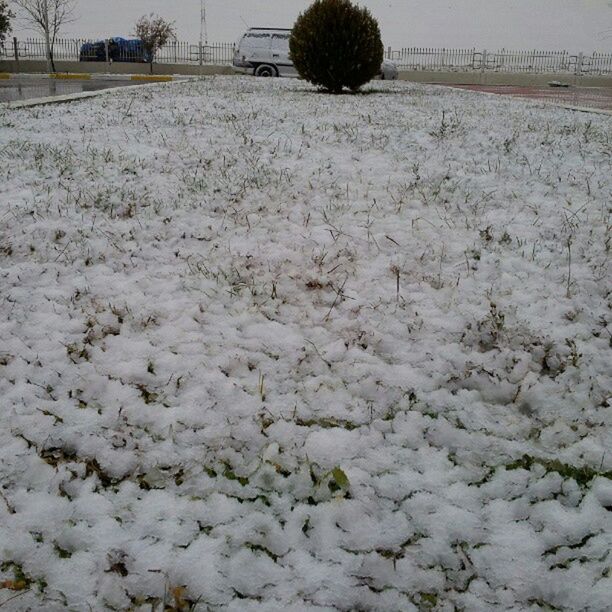 field, snow, winter, landscape, cold temperature, nature, white color, tranquility, season, tranquil scene, day, outdoors, beauty in nature, covering, weather, plant, no people, rural scene, agriculture, high angle view